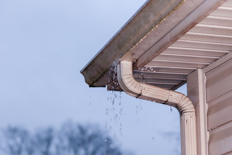 Gutter and Roof Drainage