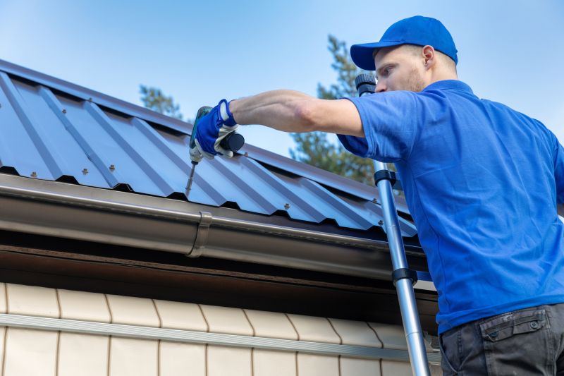 Professional Roofing in Elk River